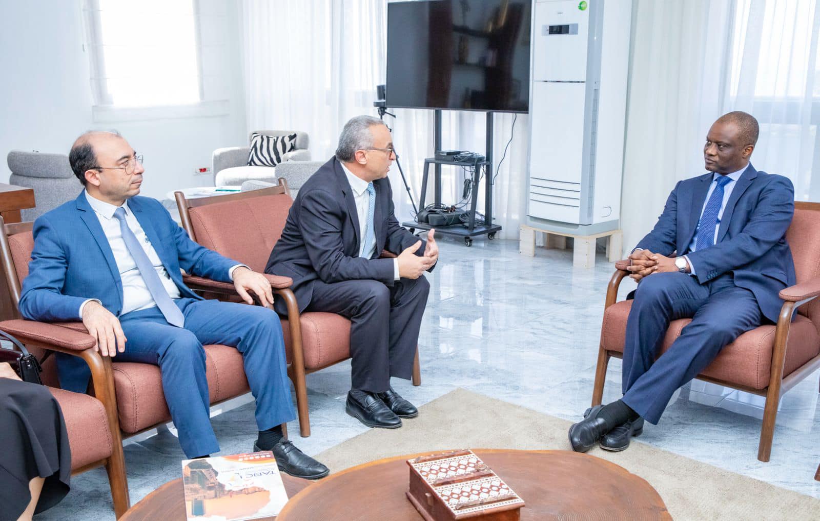Renforcement de la Coopération Économique : Tunisia-Africa Business Council