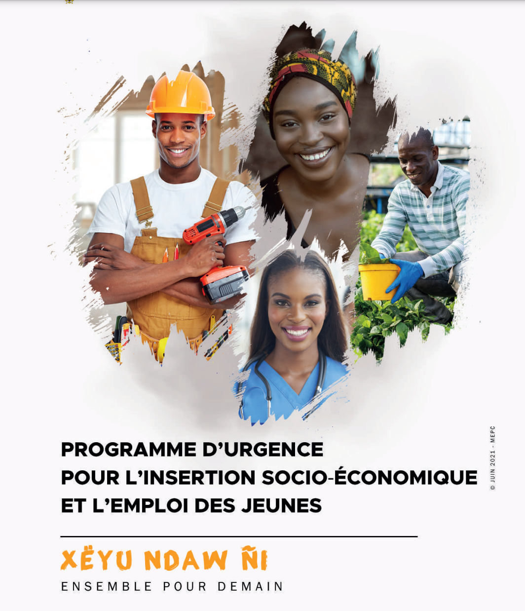Programme d'urgence pour l'emploi et l'insertion des jeunes
